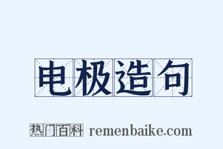 电极造句是什么意思的图片